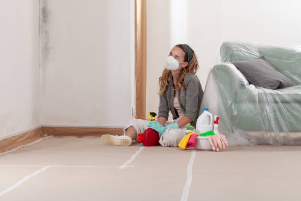Reliable Crawl Space Mold Removal contractor in Richmond, MN by WQB Mold Removal