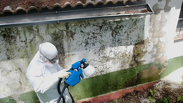 Top rated local Crawl Space Mold Removal specialists in Richmond, MN